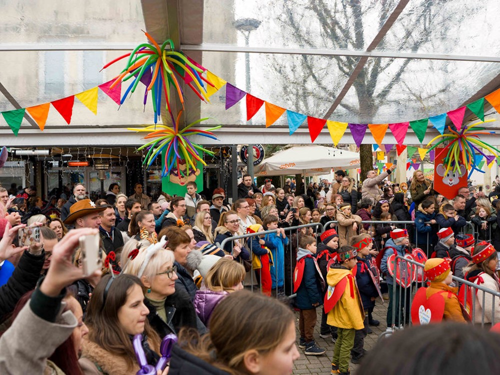 Svetonedeljski fašnik pretvorio grad u pozornicu mašte i veselja