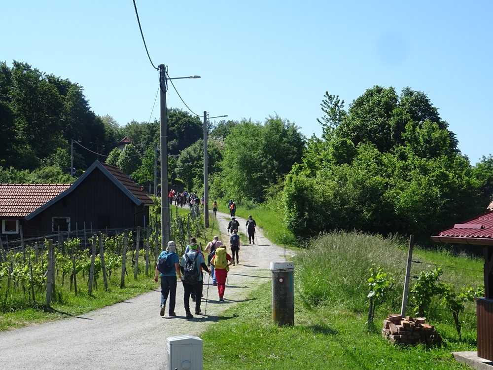 14. planinarski pohod